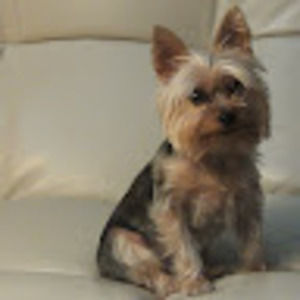 Meet your Posher, Naomi